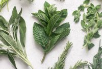 The Essential Guide to Fresh Herbs