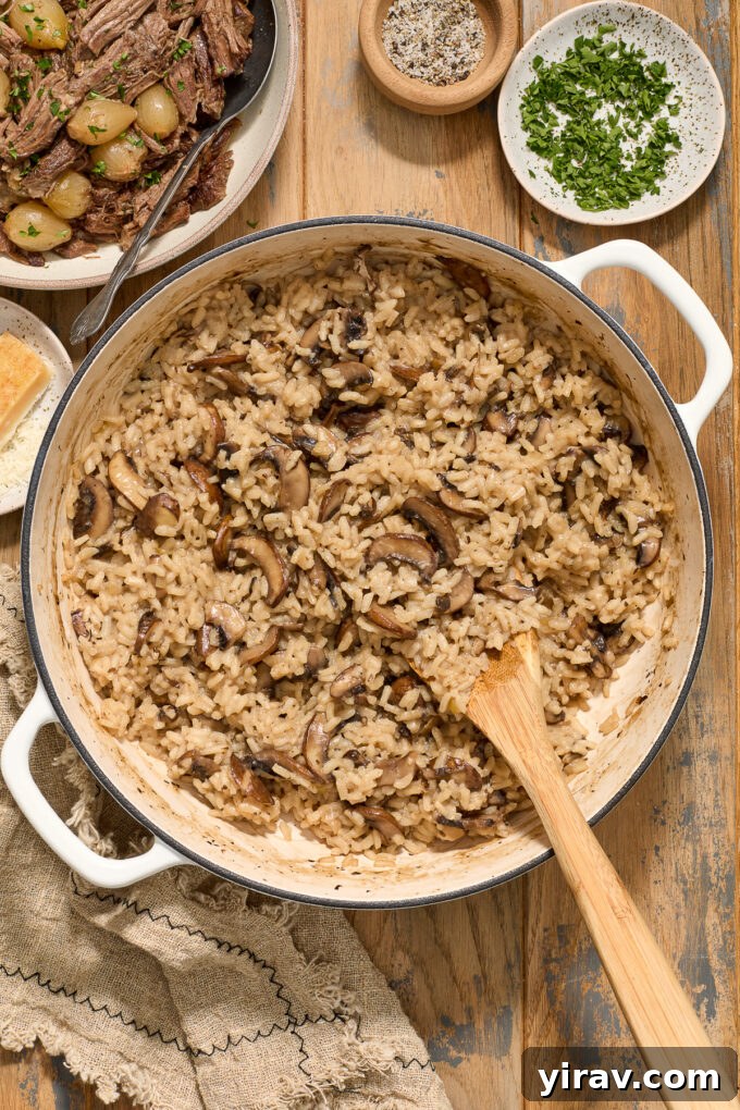 Close-up of creamy mushroom risotto topped with tender beef short ribs, ready to serve.