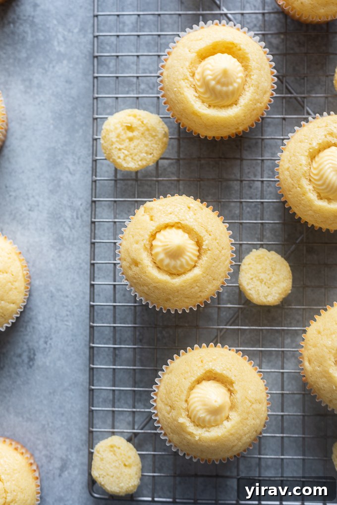 Vanilla cupcake with pastry cream filling piped into the hollowed-out center.