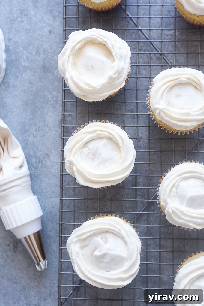 Vanilla cupcakes frosted with a smooth layer of whipped cream, ready for decorative piping.