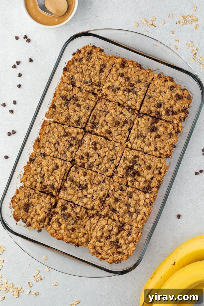Peanut butter oat bars cut into squares in a baking dish