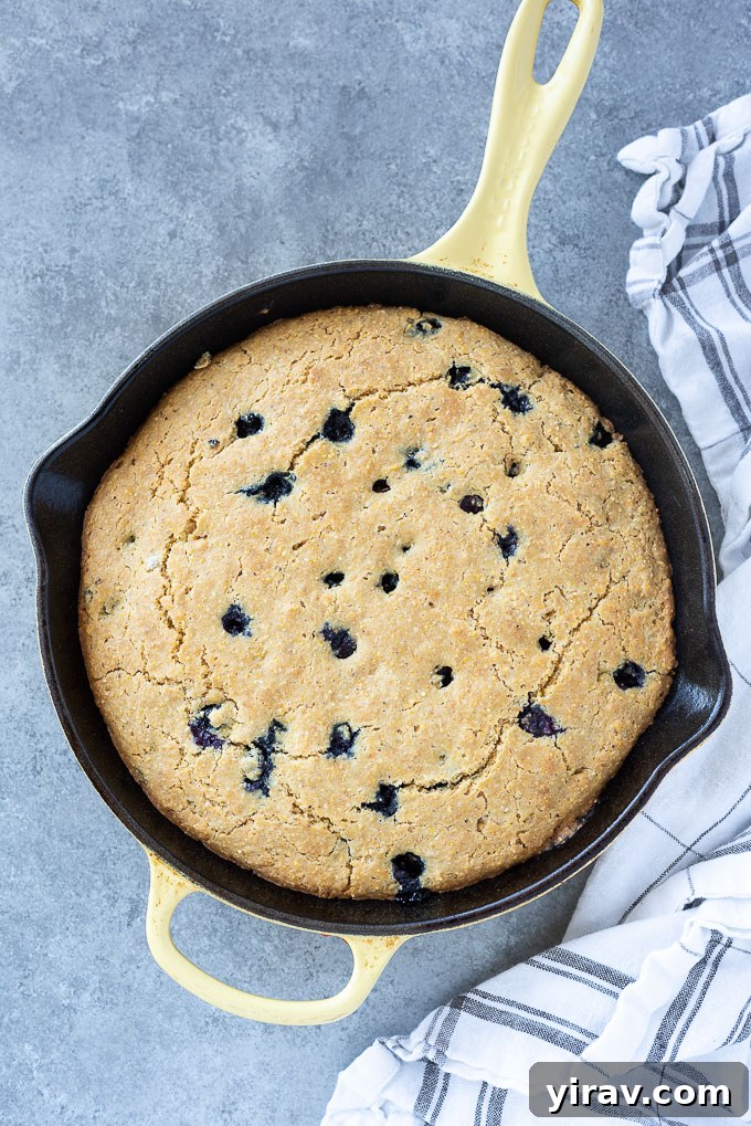 A cast iron skillet filled with golden-brown blueberry cornbread, showing the perfect crust and scattered blueberries.