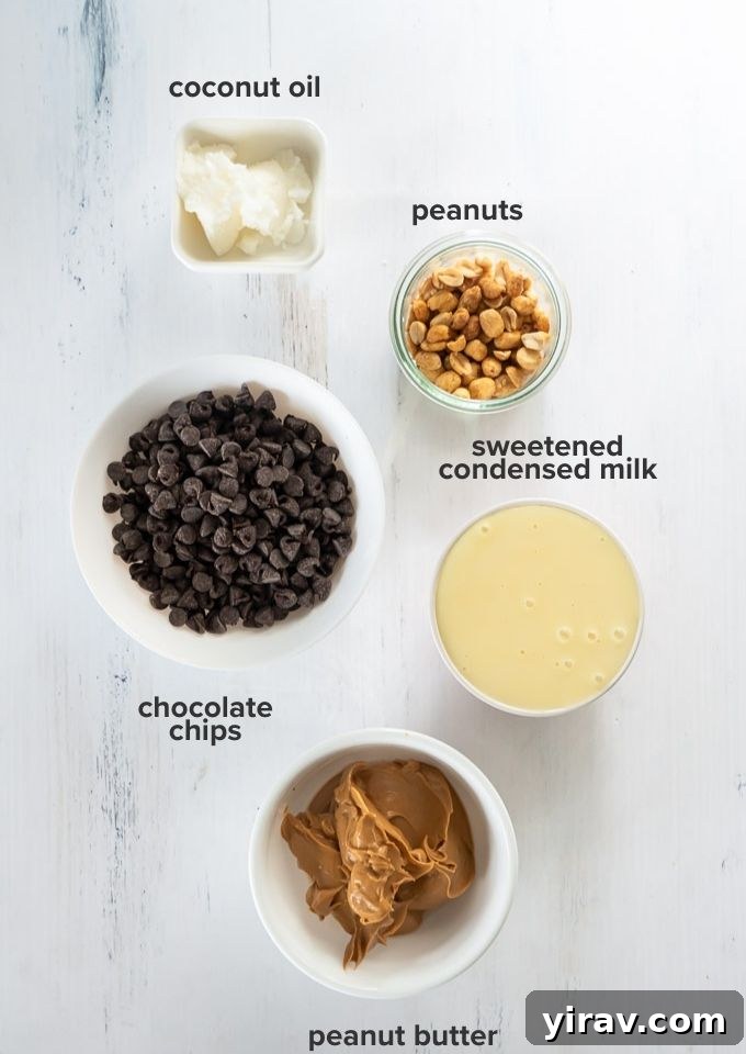 Key ingredients for chocolate peanut butter fudge including chocolate chips, peanut butter, condensed milk, coconut oil, and peanuts, laid out for easy viewing.