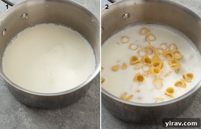 A collage showing milk and water boiling in a pot, then uncooked pasta being added to the simmering liquid for mac and cheese.