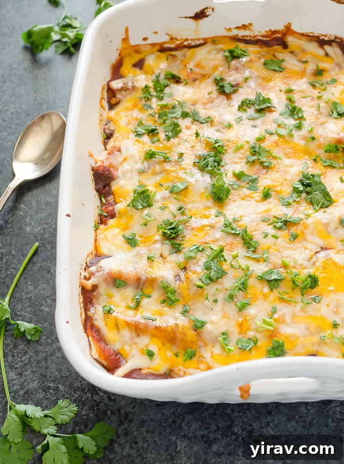 A baking dish filled with golden-brown sweet potato enchiladas, generously topped with melted cheese and fresh green cilantro, straight from the oven.