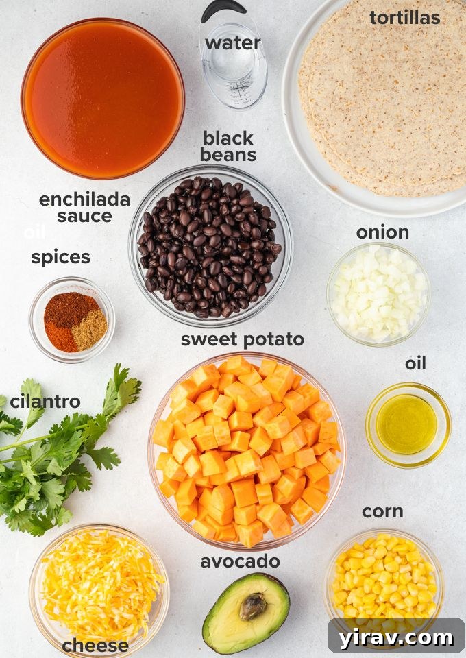 A vibrant display of fresh ingredients for sweet potato and black bean enchiladas, including sweet potatoes, onions, black beans, corn, spices, and tortillas.