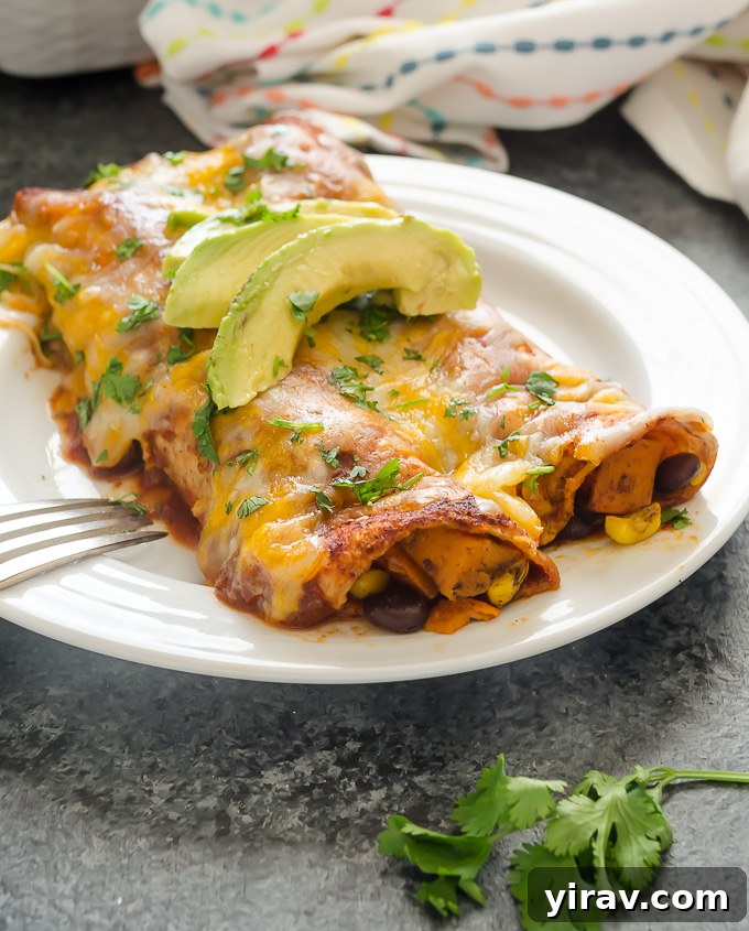 Close-up of sweet potato and black bean enchiladas served on a white plate, garnished with fresh avocado slices and cilantro.
