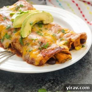 Black Bean Sweet Potato enchiladas on a plate with avocado and cilantro garnish