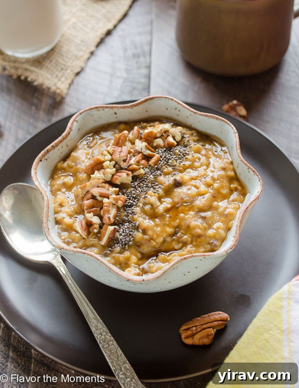 Cozy Slow Cooker Pumpkin Spice Steel Cut Oats 4 Front shot of a cozy bowl filled with creamy pumpkin steel cut oats, beautifully topped with fresh chia seeds and toasted pecans, inviting you to enjoy.
