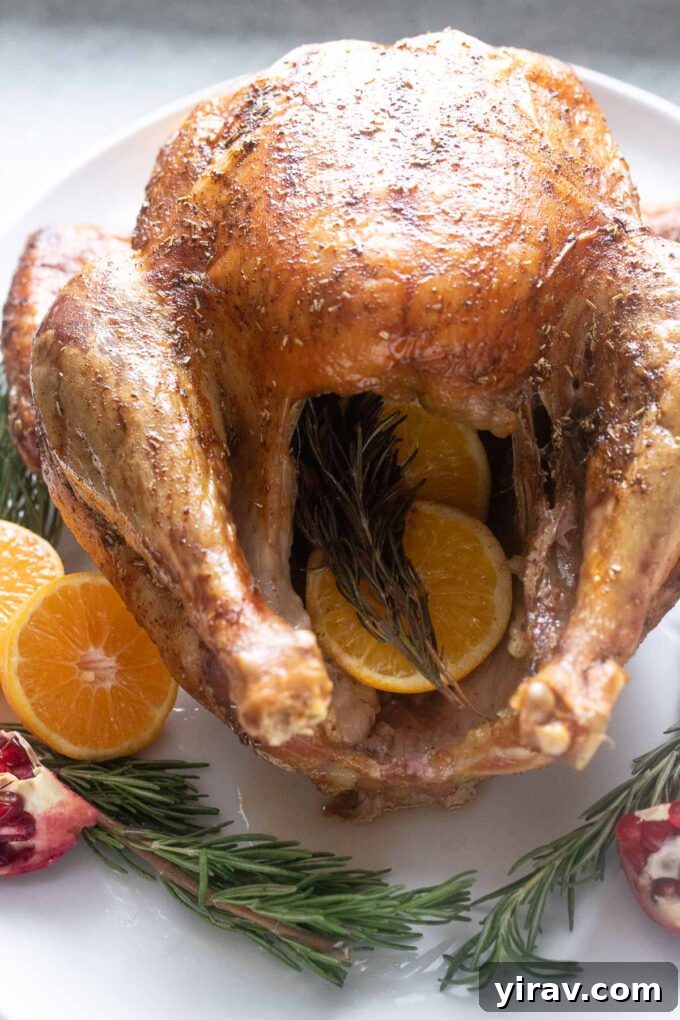The Ultimate Dry Brined Roast Turkey 5 A beautifully roasted orange rosemary turkey on a serving platter, stuffed with aromatics and garnished with fresh herbs, ready to be served.