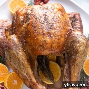 Dry brine turkey on a platter with orange and rosemary.