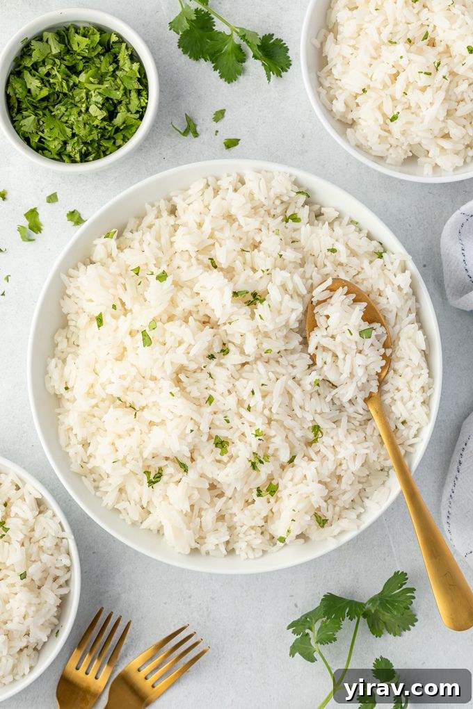 Serving spoon digging into a bowl of perfectly cooked coconut milk rice