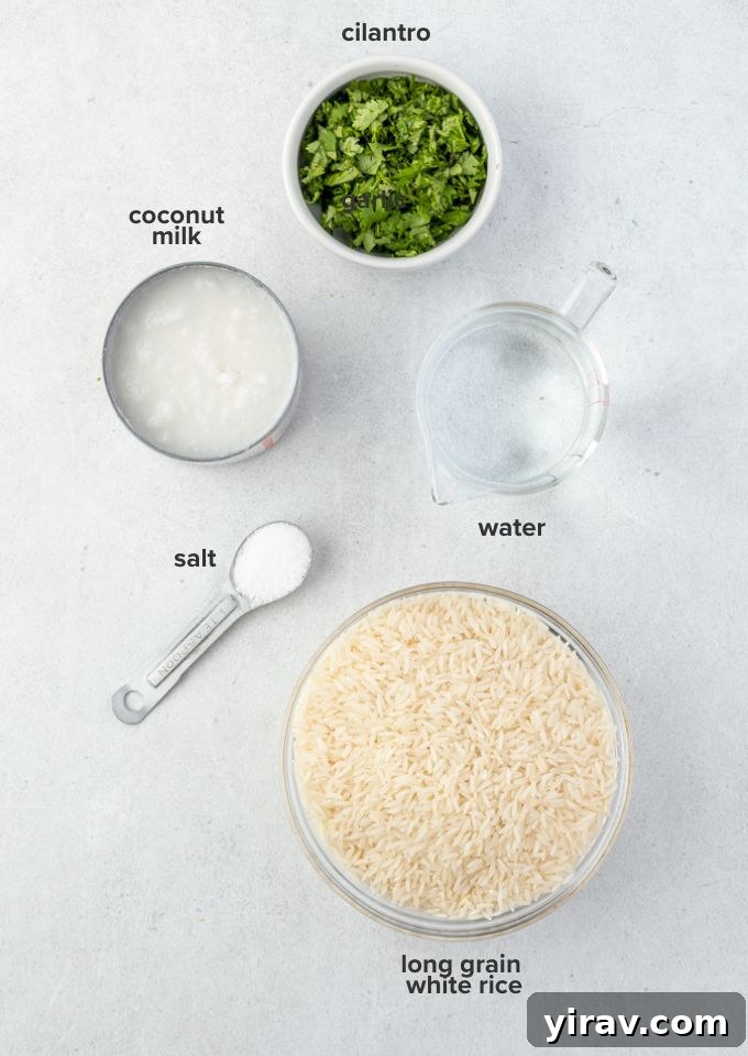 Key ingredients laid out for making delicious coconut rice: jasmine rice, coconut milk, and salt