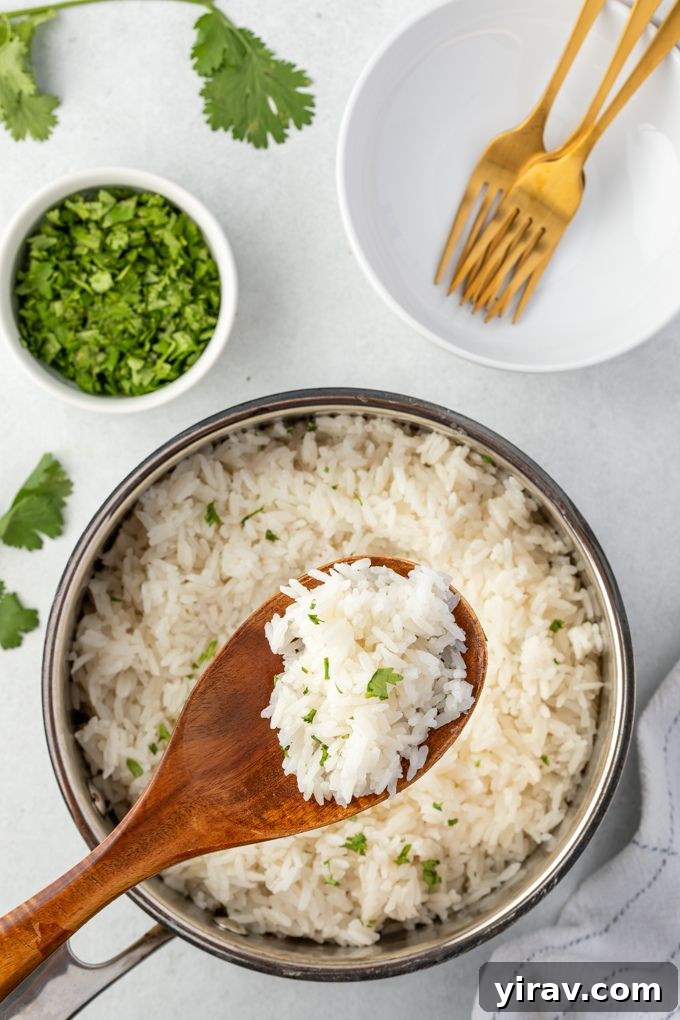 Cooked coconut milk rice still in the pot with a wooden spoon ready to serve