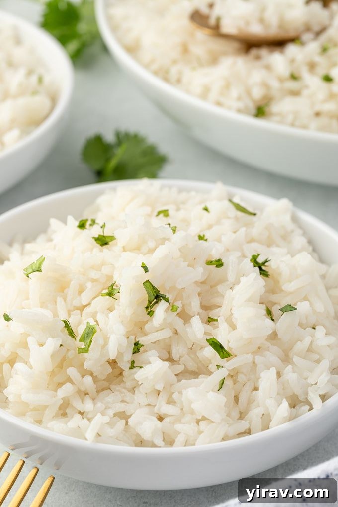 A beautiful bowl of creamy coconut rice garnished with vibrant chopped cilantro