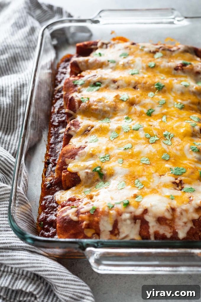 No-Fuss Chicken Enchiladas 2 Golden-brown chicken enchiladas in a baking dish, fresh from the oven, with melted cheese and bubbling sauce.
