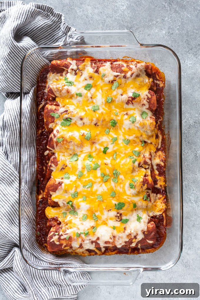 No-Fuss Chicken Enchiladas 3 Freshly baked chicken enchiladas, topped with vibrant green cilantro, in a ceramic baking dish.