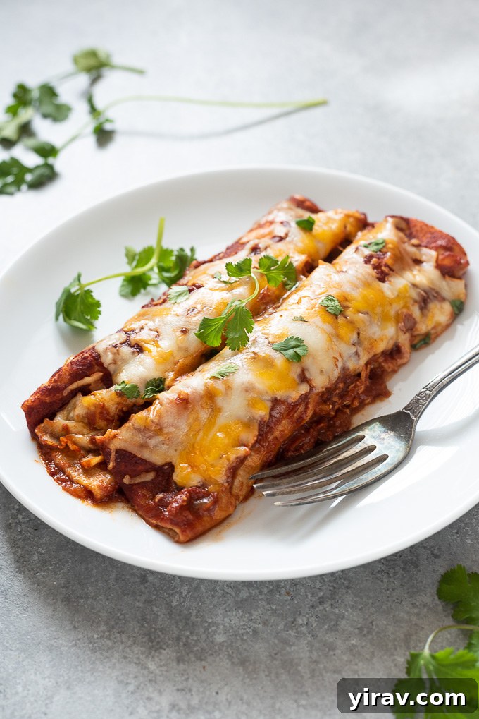 No-Fuss Chicken Enchiladas 6 Two chicken enchiladas served on a white plate, garnished with fresh cilantro.