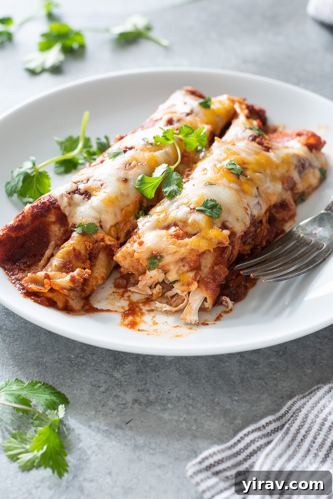 No-Fuss Chicken Enchiladas 7 A close-up of a chicken enchilada on a plate with a bite taken, revealing the chicken and sauce filling.