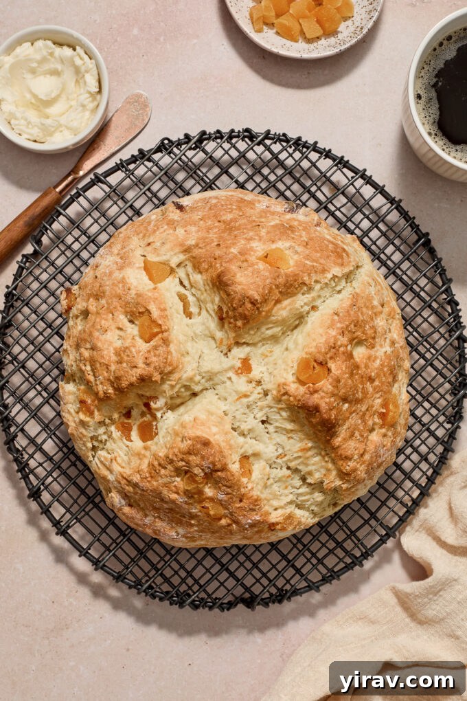 Crusty Apricot Orange Irish Soda Bread on a wire rack, garnished with fresh orange slices and apricots.