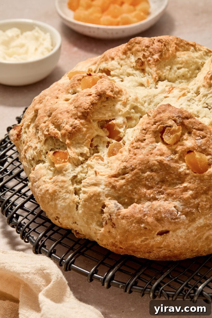 Freshly baked Irish soda bread with apricots and orange zest cooling on a wire rack.