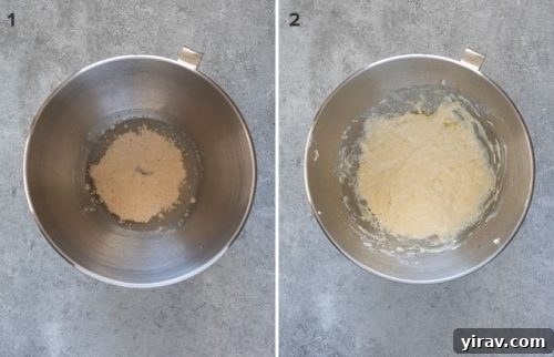 Collage of bloomed yeast and added flour for focaccia pizza