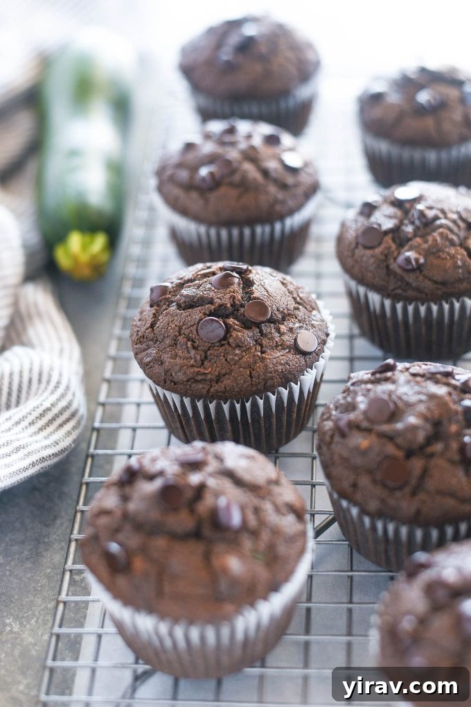 Guilt-Free Chocolate Zucchini Muffins 2 Chocolate zucchini muffins on a wire rack