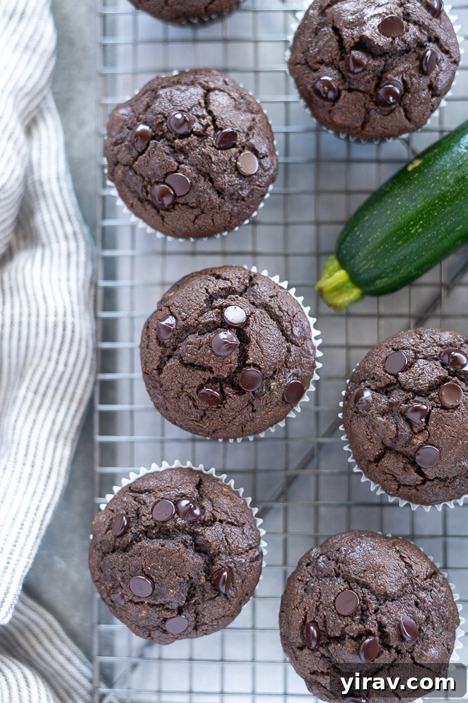 Guilt-Free Chocolate Zucchini Muffins 3 Double chocolate zucchini muffins on a wire rack with zucchini