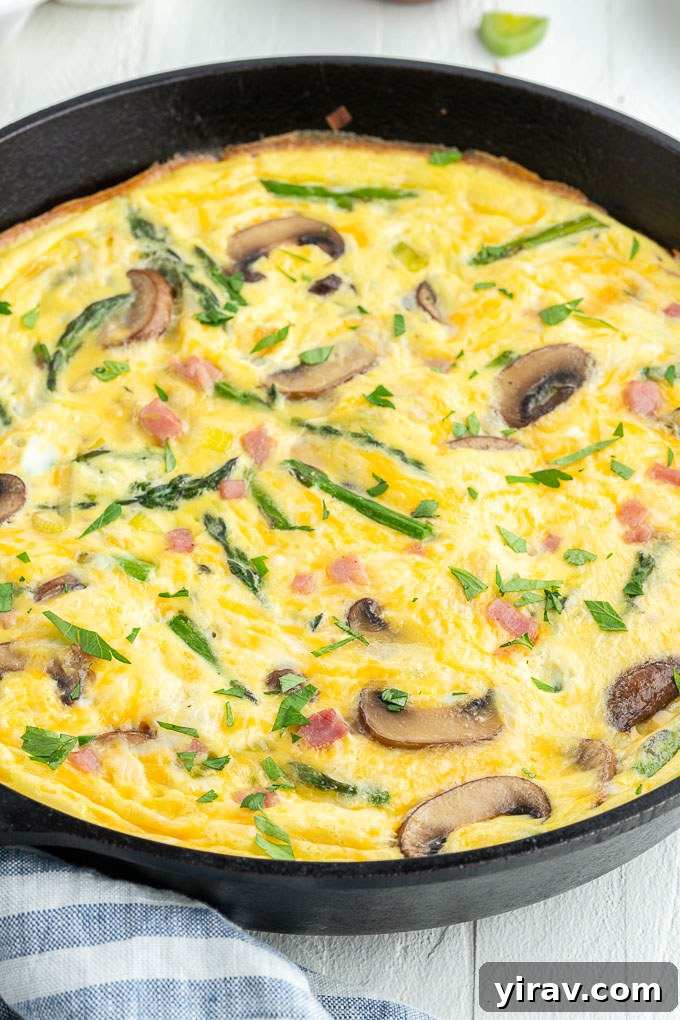 Golden Ham and Cheese Frittata 6 A freshly baked Ham and Cheese Frittata, still in the cast iron skillet, with a golden-brown top and visible ham, cheese, and vegetables.