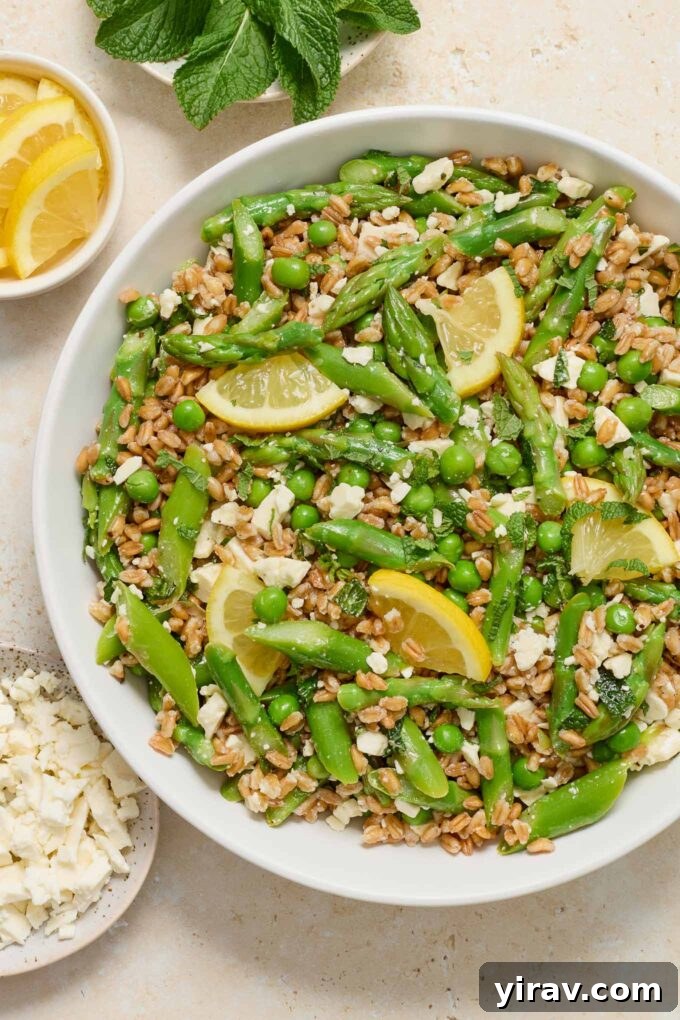 Vibrant Spring Farro Salad with Feta in a white serving bowl, showcasing its colorful ingredients.