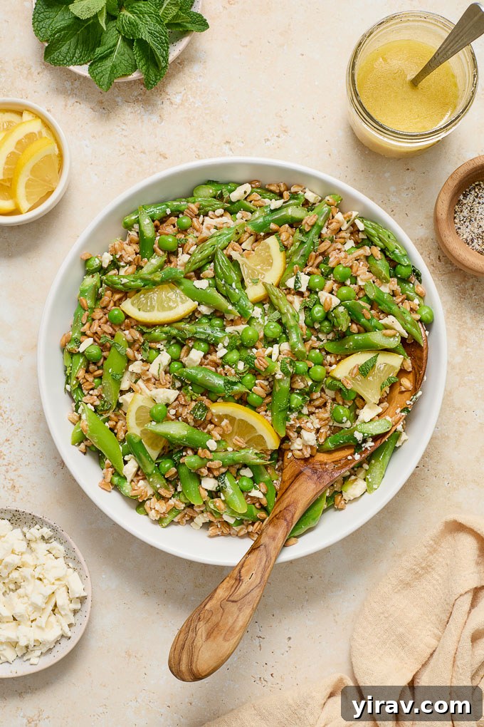 A serving spoon digging into a bowl of delicious farro salad with feta, showing the texture.