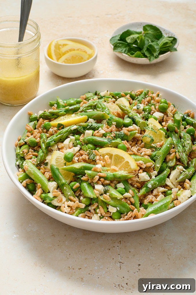 A large serving bowl of Spring Farro Salad with Feta, garnished with lemon slices and fresh mint.