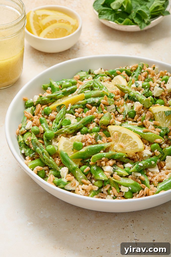 Spring Farro Salad in a bowl with a side of lemon slices and fresh mint leaves, ready to be served.
