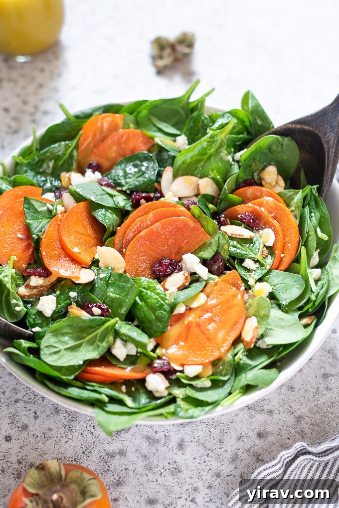 Golden Harvest Salad 3 A close-up view of the Persimmon Salad in a bowl, highlighting the fresh ingredients like sliced persimmons, spinach, cranberries, and crumbled feta.