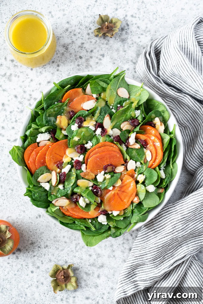 Golden Harvest Salad 5 A large bowl of Persimmon Salad, featuring a delightful mix of green spinach, orange persimmon slices, red cranberries, and white feta, ready to be enjoyed.
