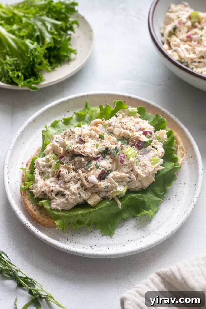 Tarragon chicken salad on bread.