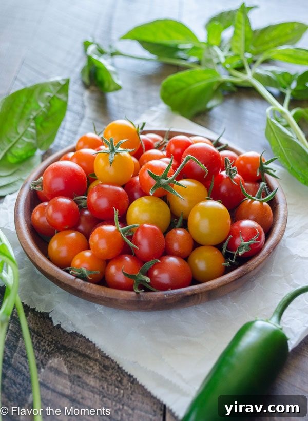 A rustic plate filled with fresh, colorful cherry tomatoes and a sprig of aromatic basil, showcasing the key ingredients.