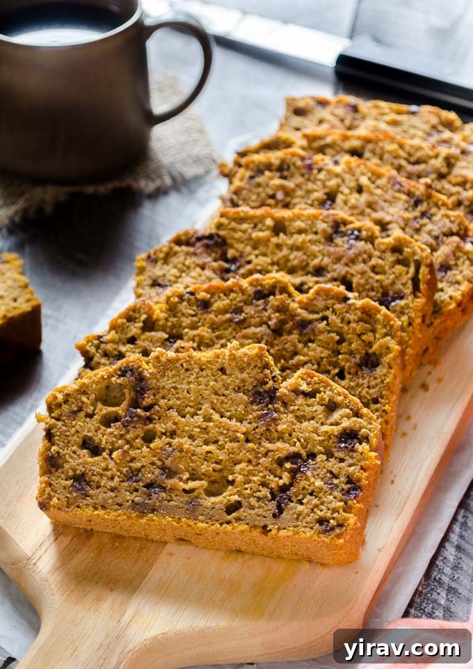 Spiced Pumpkin Chocolate Chip Bread 7 Close-up of slices of Whole Wheat Pumpkin Bread with visible dark chocolate chips, showing its moist and tender interior.