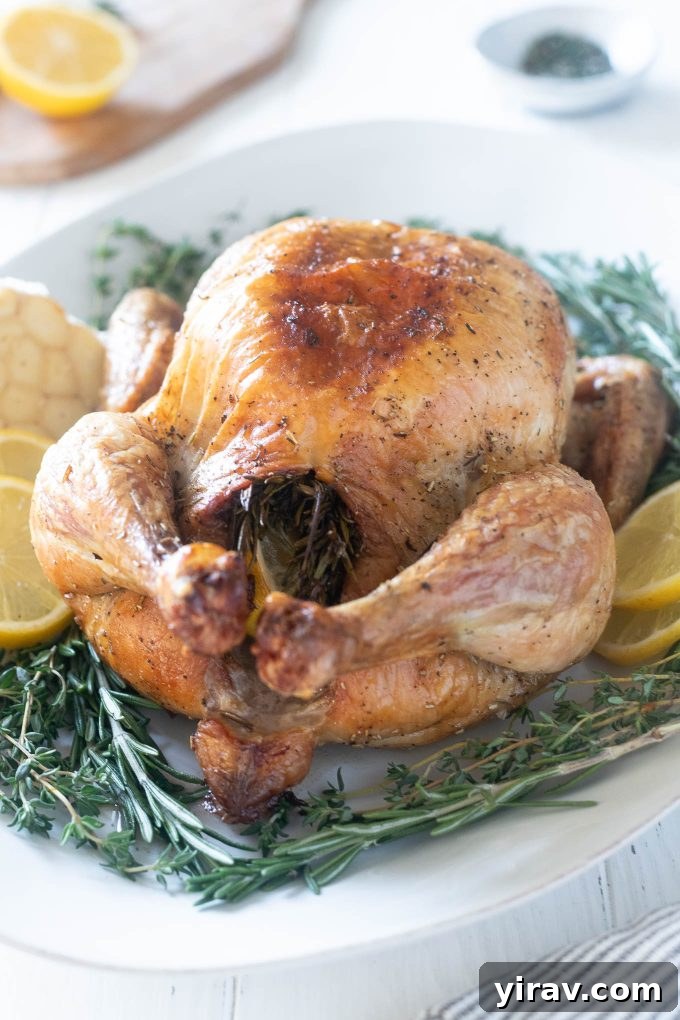 Lemon garlic roast chicken trussed on a platter