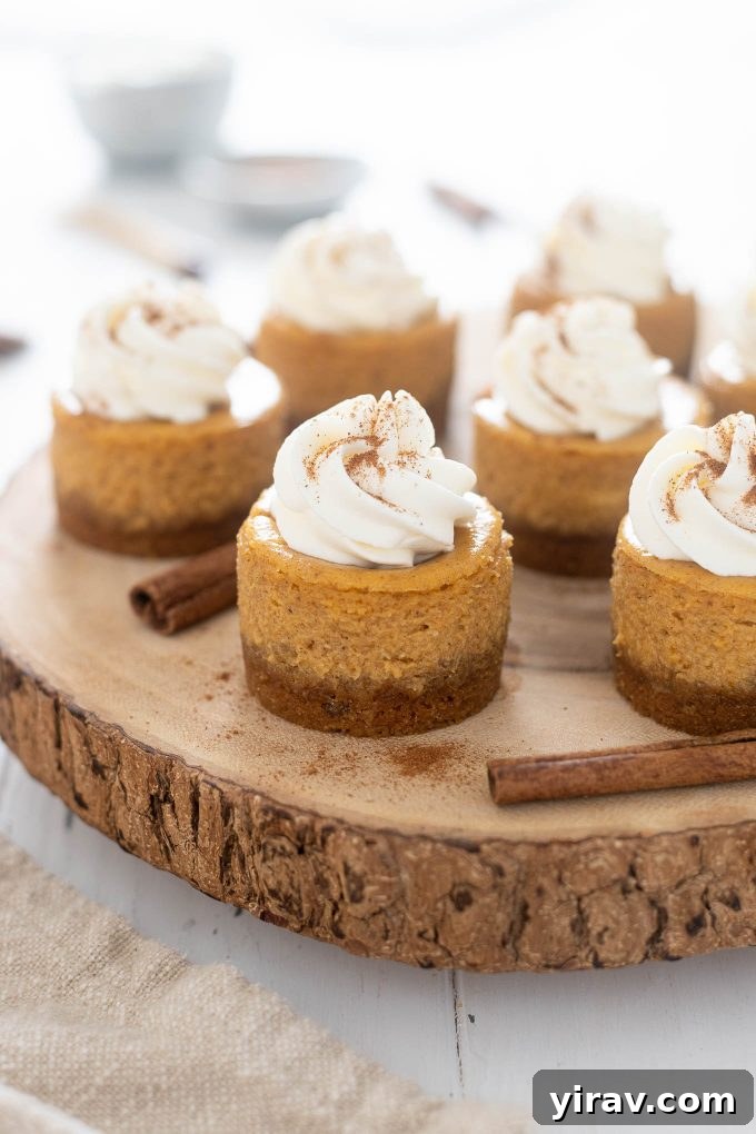 Mini pumpkin cheesecake on a wood serving platter