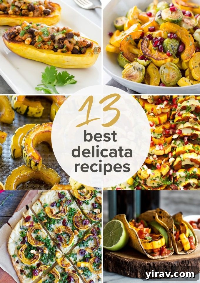 A vibrant collage showcasing a variety of delicata squash recipes, including roasted rings, stuffed halves, and colorful salads, perfect for fall and winter meals.