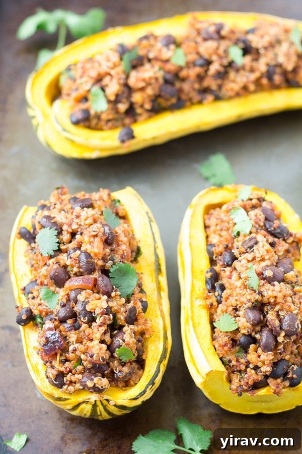 Hearty vegetarian Stuffed Delicata Squash halves arranged on a baking sheet, featuring a savory quinoa and black bean filling.