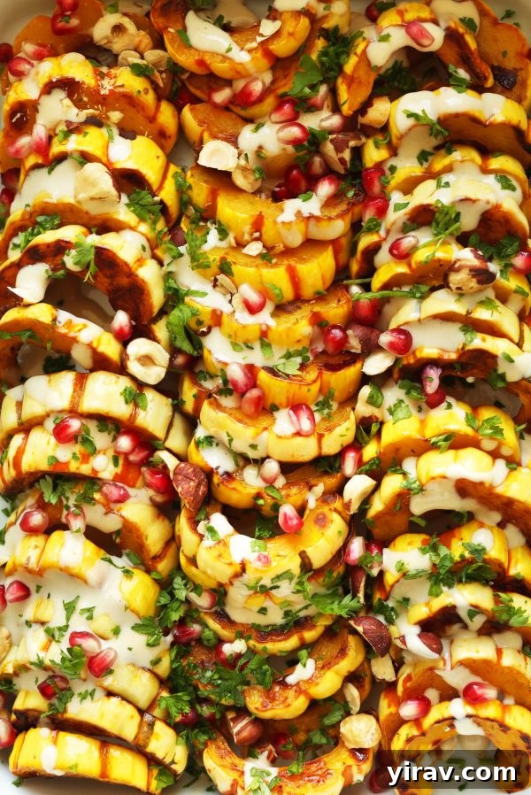 A golden delicata squash bake generously garnished with toasted hazelnuts and pomegranate arils in a white baking dish.