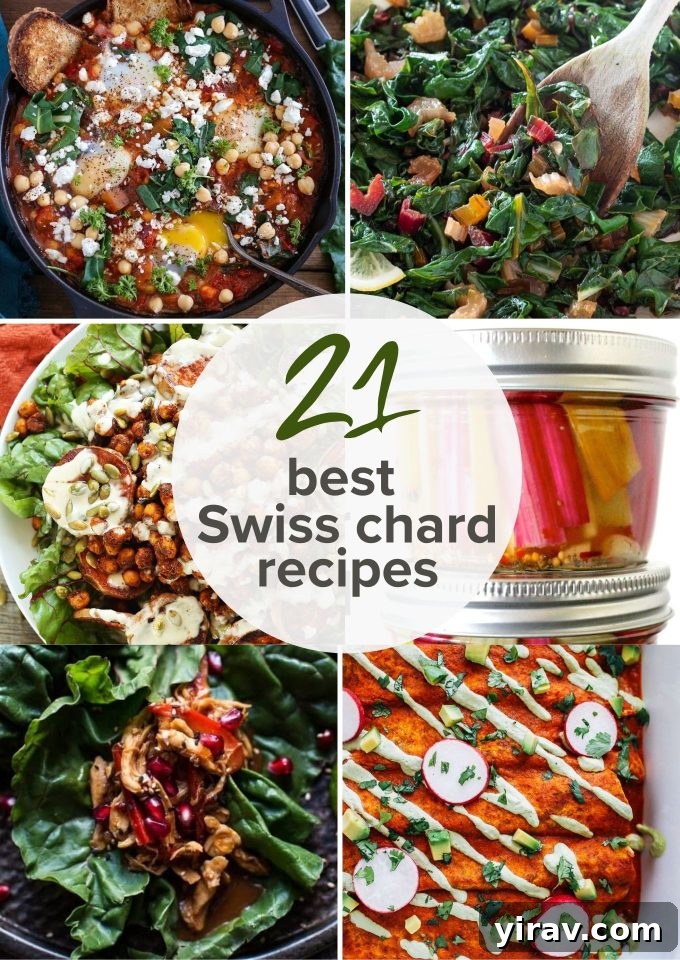 A vibrant collage image featuring various delicious Swiss chard recipes, perfect for sharing on social media.