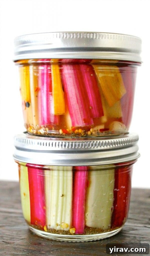 Two mini mason jars filled with vibrant spicy pickled Swiss chard stems, showcasing a clever way to preserve and enjoy this vegetable.