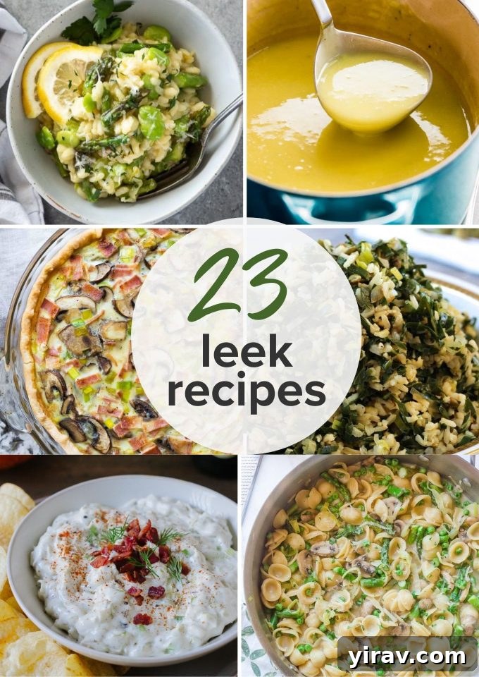 23 best leek recipes long collage pin