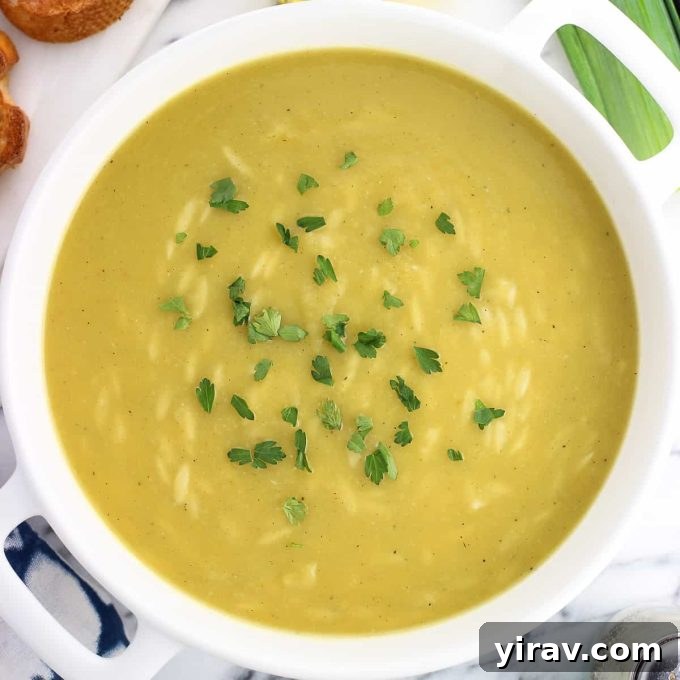 Potato leek soup with orzo in a bowl