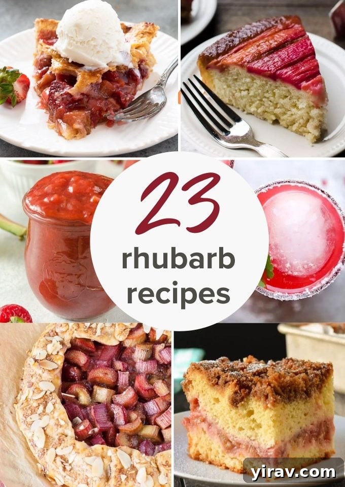 23 Rhubarb Recipes Essential Produce Guide 2 A vibrant collage of 23 delicious rhubarb recipes, including pies, crisps, and drinks, showcasing the versatility of this spring vegetable.