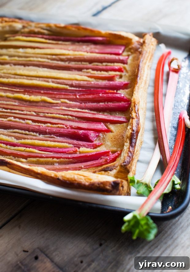 23 Rhubarb Recipes Essential Produce Guide 10 A rustic Rhubarb & Orange Frangipane Galette on a baking sheet, surrounded by fresh rhubarb stalks, ready for serving.