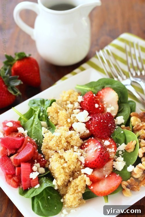 23 Rhubarb Recipes Essential Produce Guide 15 A fresh and vibrant Strawberry Rhubarb Spinach Salad on a white plate, showcasing colorful ingredients.